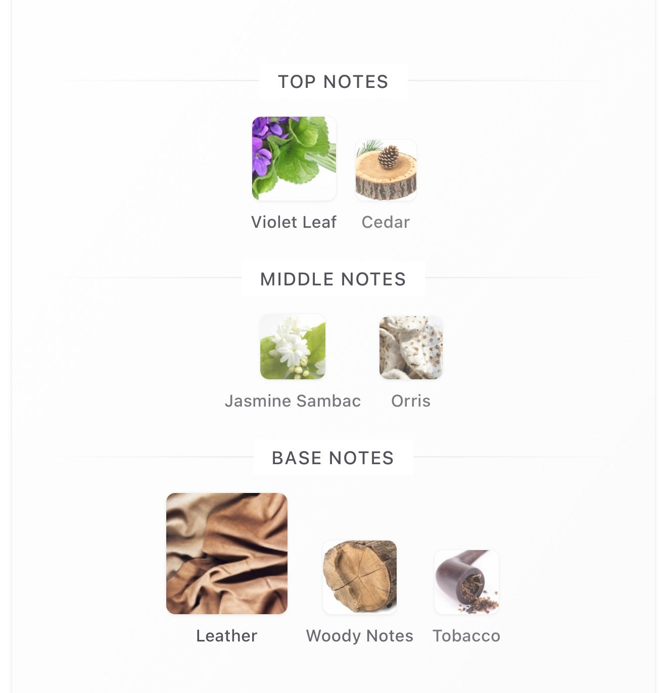 Leather Reverie For Him